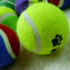 Cute Pet Tennis Balls Run Play Chew Toys