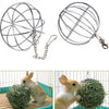 Sphere Feed Dispenser Hanging Ball Toy