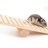 Wood Seesaw For Mouse and Hamster Pet Toy