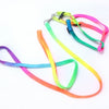 Small Pet Harness Nylon Collar