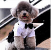 Prince Tuxedo Bow Tie Puppy Costume