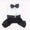 Prince Tuxedo Bow Tie Puppy Costume