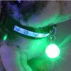 Pet Dog Collar  Electric Light Pendant